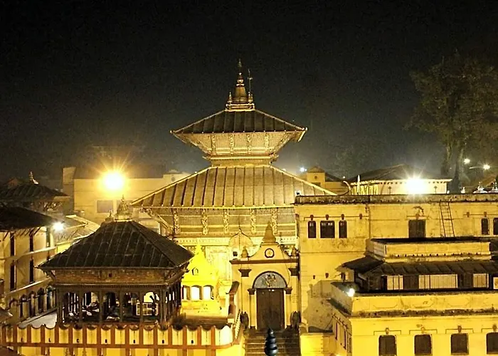 Hotel Shraddha Palace 3*